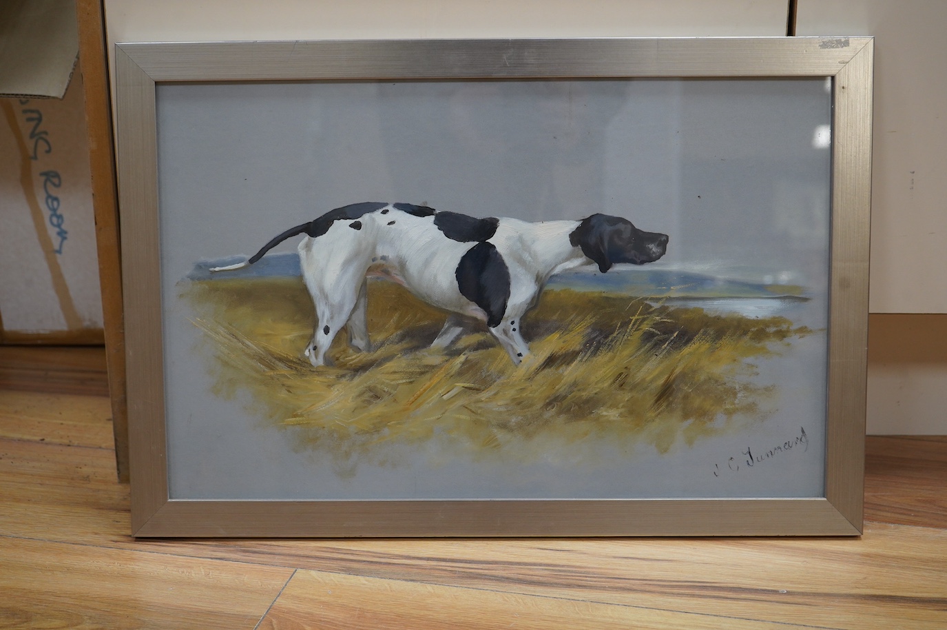 John Charles Tunnard (British, b.1875), gouache and mixed media, Study of an English pointer, signed, 31 x 49cm. Condition - fair to good